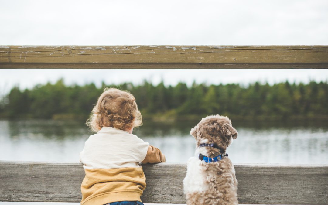 متن آزمایشی شماره نه