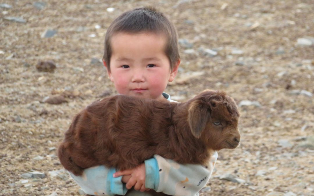 متن آزمایشی شماره شش